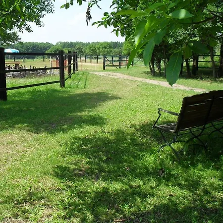 Zum Alten Ponyhof